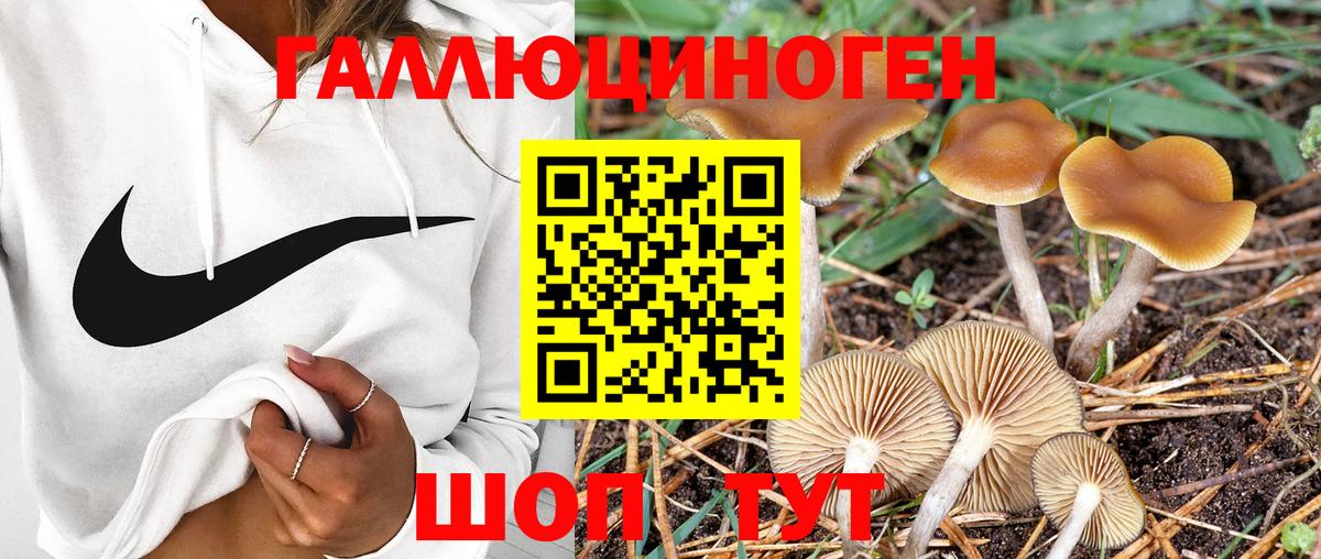 Набережные Челны  Галлюциногенные грибы мухоморы  Псилоцибиновые грибы ЛСД  Вход с VPN 
